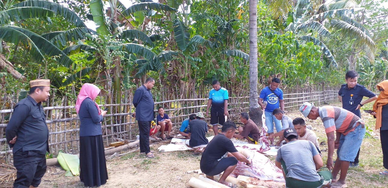 Bawaslu Gorut Sembelih Hewan Qurban